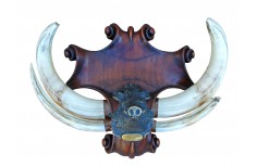 Carved Taxidermy trophy shield base for a pig trophy