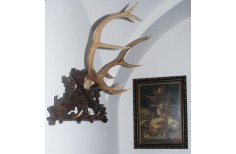 Hunting interior Chateau Žinkovy