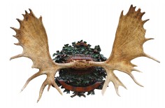  Carved Taxidermy trophy shield basefor an elk trophy