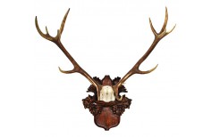 Carved Taxidermy trophy shield base for a deer trophy