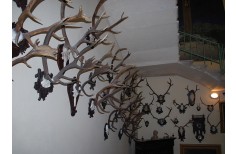 Hunting interior Chateau Letovice