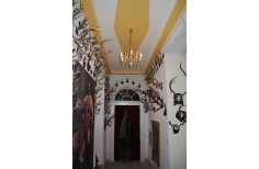 Hunting interior Chateau Letovice