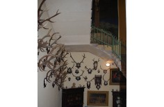 Hunting interior Chateau Letovice