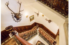 Hunting interior Chateau Sobotín