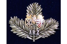 Austro/Hungarian Cap Badge no.11