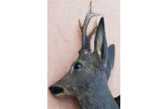 Deer head